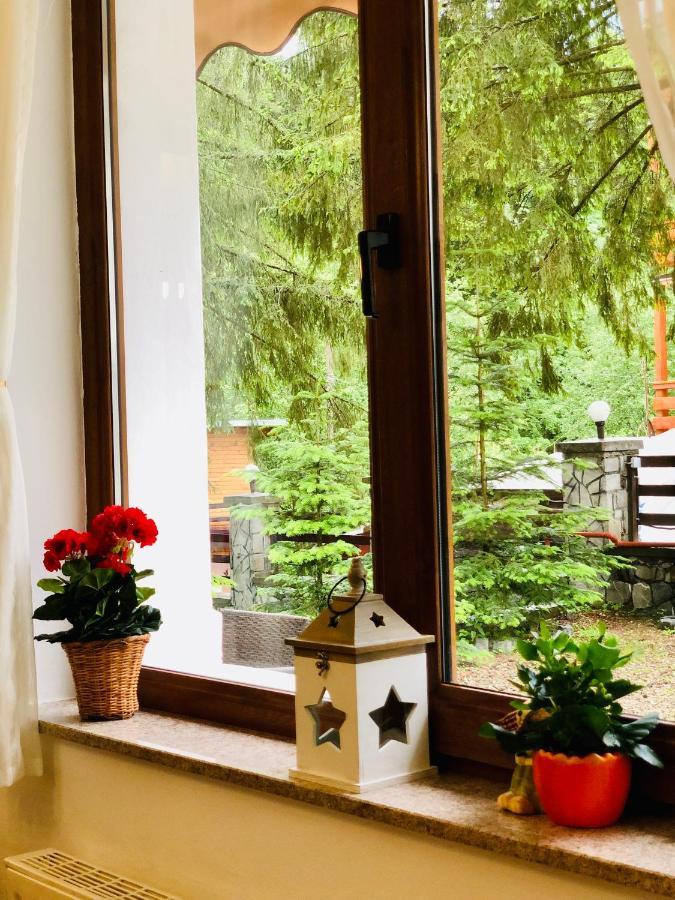 Pensiune & Restaurant Kalinder Buşteni Dış mekan fotoğraf